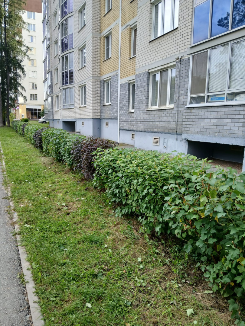 02028fdf-64ef-46b2-aa2e-88dd8e2fa6e5.jpg